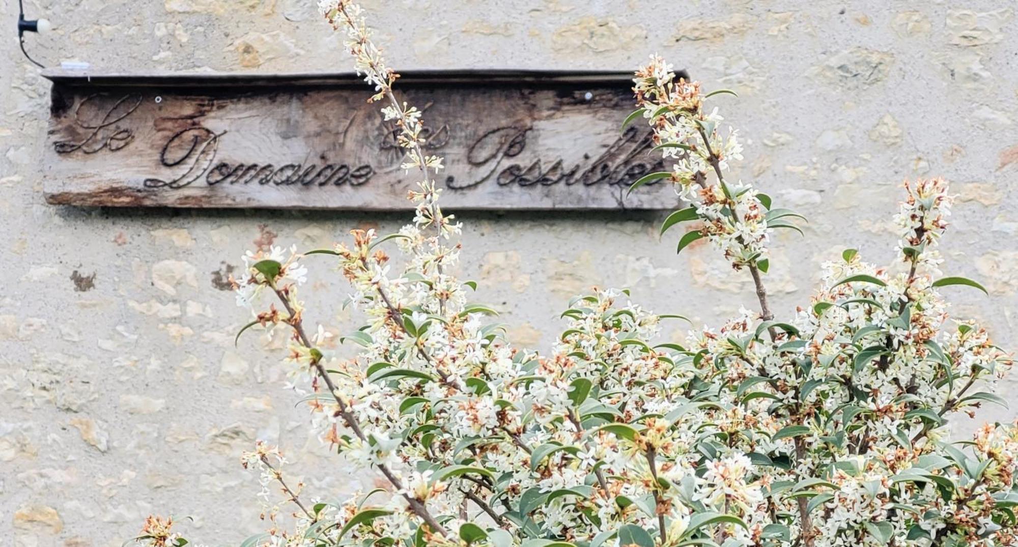 Domaine Des Possibles Montayral